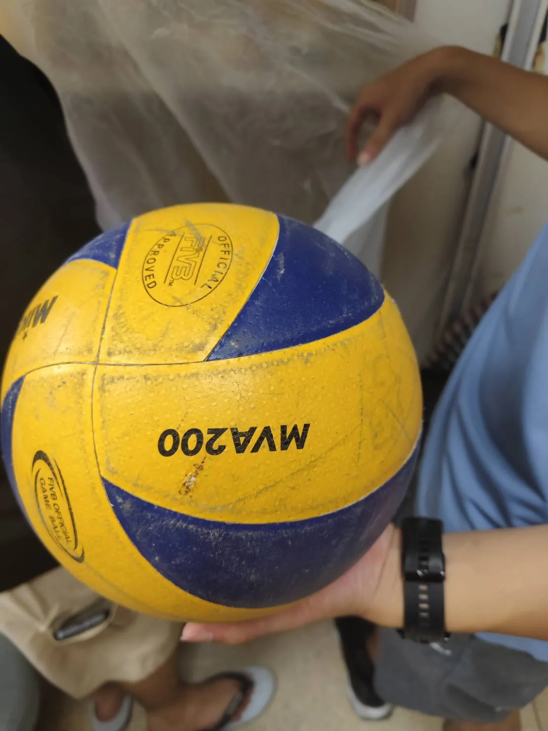 排球 (Volleyball)