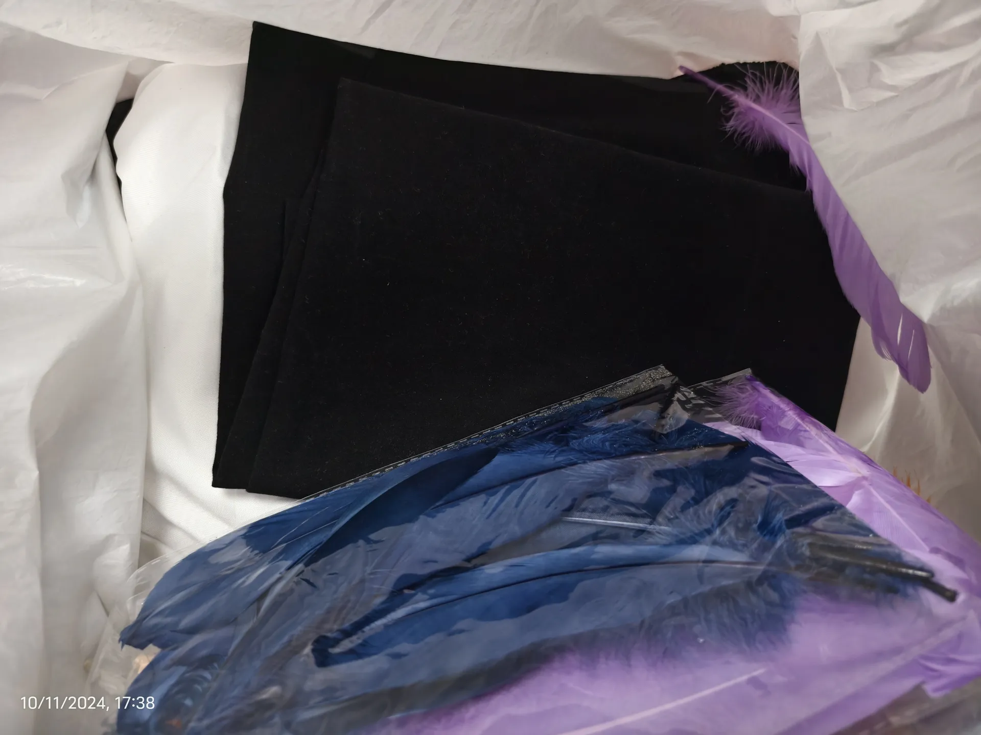 西裝和羽毛 (Suit and weather)