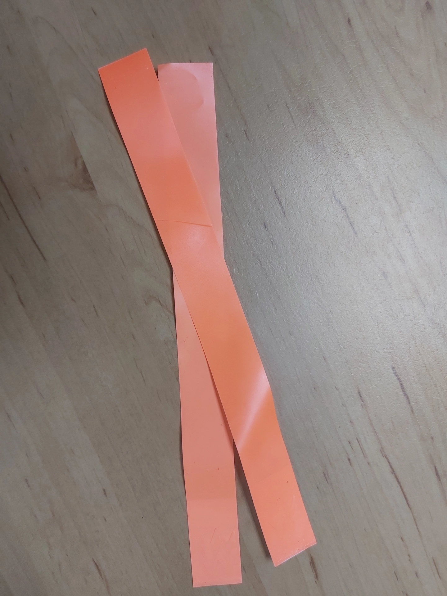 活動腕帶 (Event Wristband)